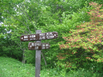 ���ē��W��