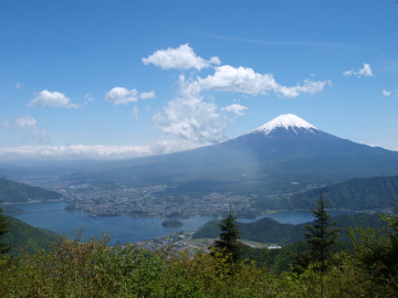 �V��������̕x�m�R